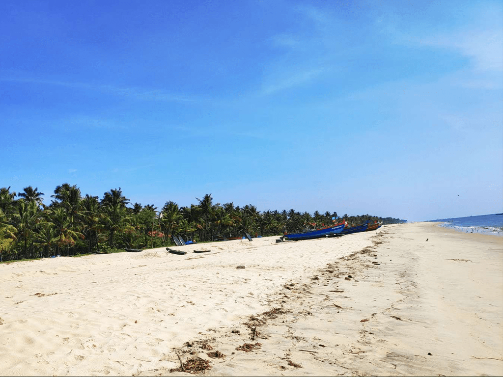 Marari beach near Allappey boat house